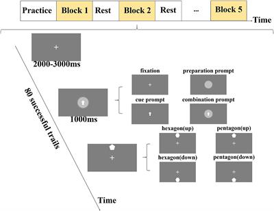 The impact of cue and preparation prompts on attention guidance in goal-directed tasks
